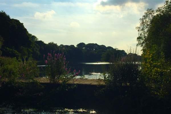 Etherow Country Park Woodland and Waterways
