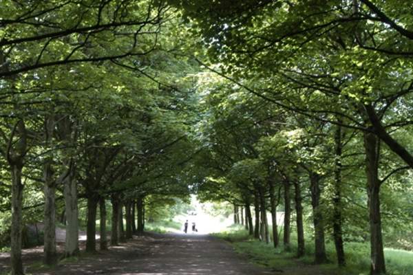 Two Faces of Rivington
