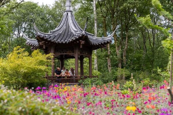 RHS Garden Bridgewater: Fifth Birthday Celebrations