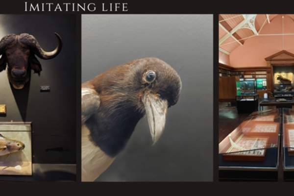 A Very Natural History Exhibition