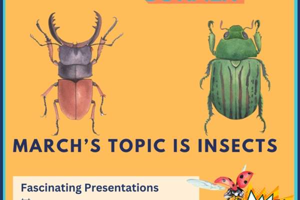Insects at Oriel Science