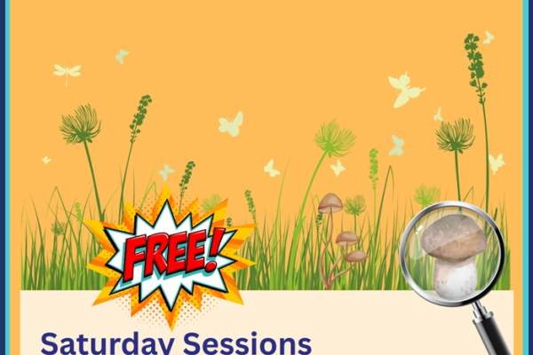 April Saturday Sessions - 19 April