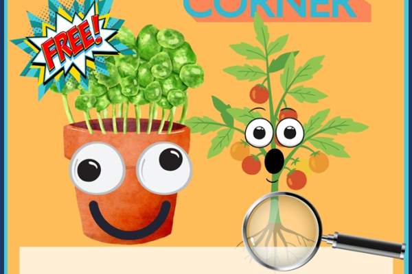 Crazy Cress & Plant Detectives!