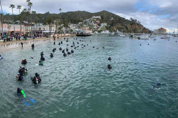 41st Annual Avalon Harbor Underwater Cleanup