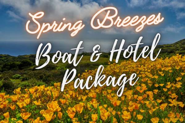 A Spring Breeze on Catalina ~ Boat & Hotel Package