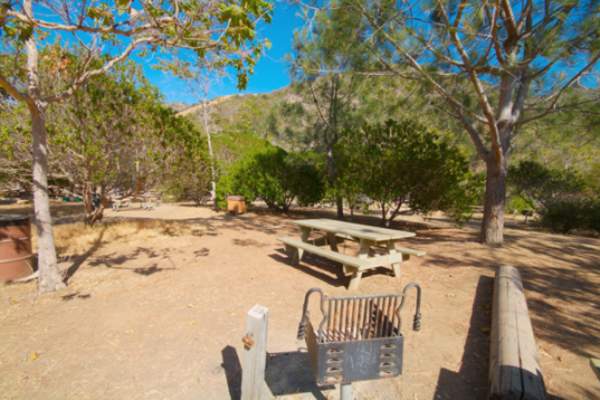 Blackjack Campground