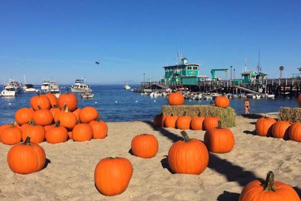 Avalon Fall Carnival