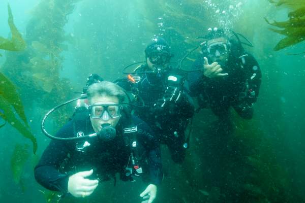 A Day of Diving