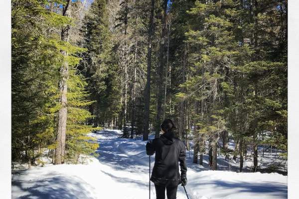 George Washington Pines Winter Recreation Trail
