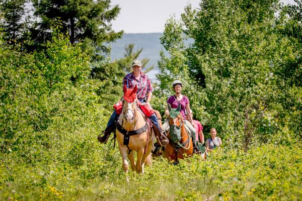 Gunflint Riding Stables
