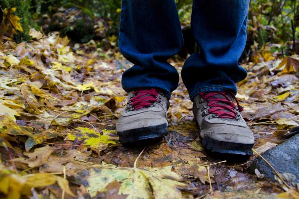 Alpine Trail