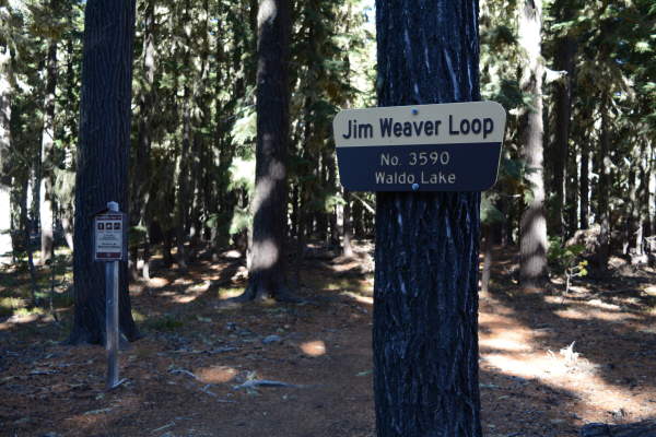 Jim Weaver National Recreation Trail (Waldo Lake Trail #3590)