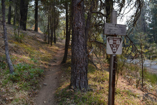 Youngs Rock Trail