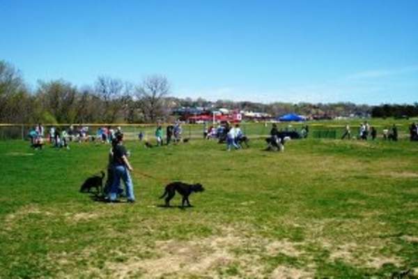 Hefflinger Dog Park