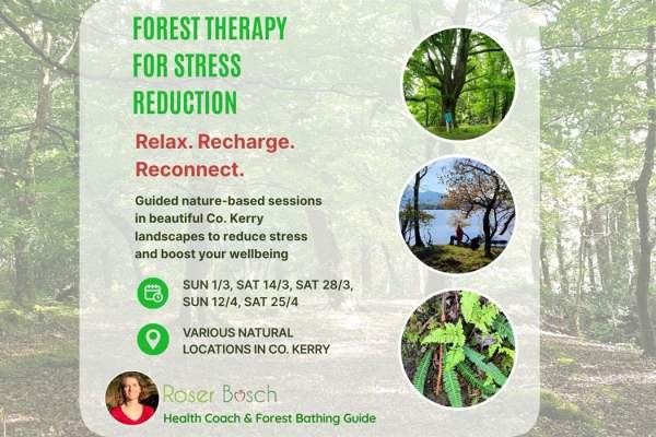 Forest Therapy for Stress Reduction