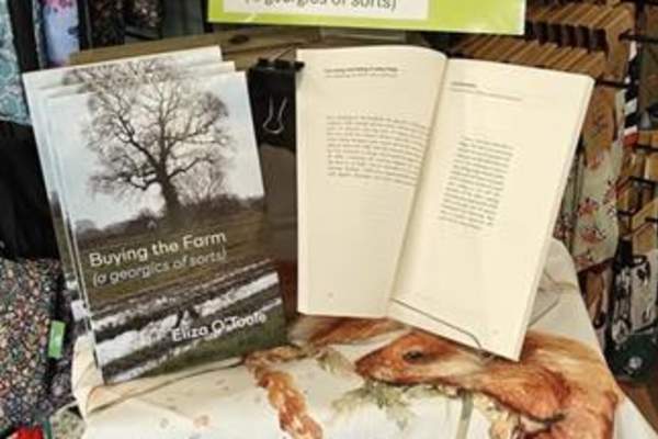 Fireside poetry reading with Eliza O'Toole