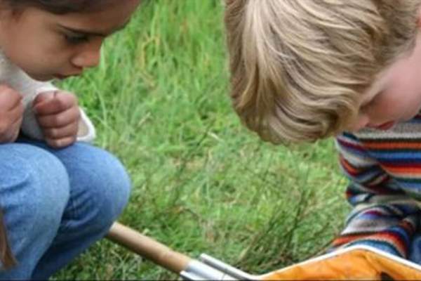Abberton Butterfly and Bug Hunt
