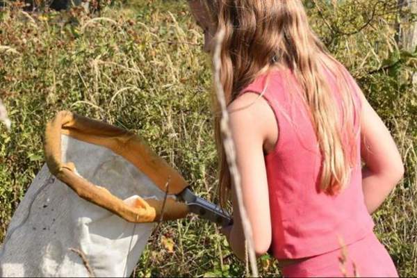 Abberton Summer Nature detectives