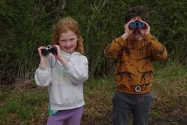 Abberton Brilliant Birds