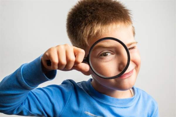 Natural History Museum Wildlife Worksheet