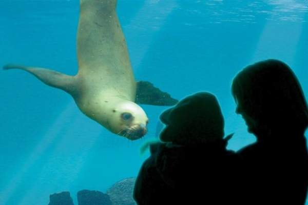 February Half Term at Colchester Zoo