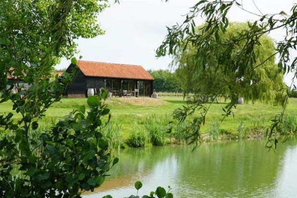 Dedham Vale Vineyard: Guided Tasting and Tour