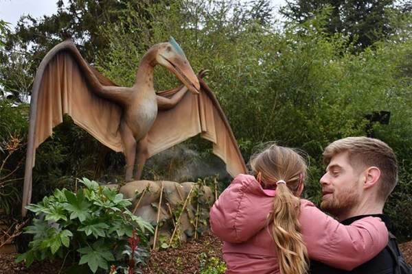 May Half Term at Colchester Zoological Society