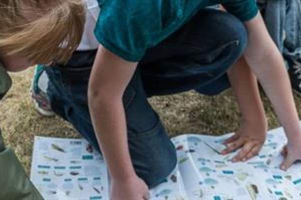 Fingringhoe Wildlife Detective