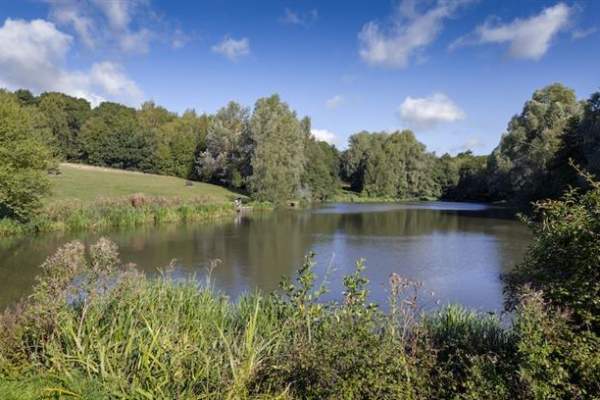 Forest Adventure - High Woods Country Park