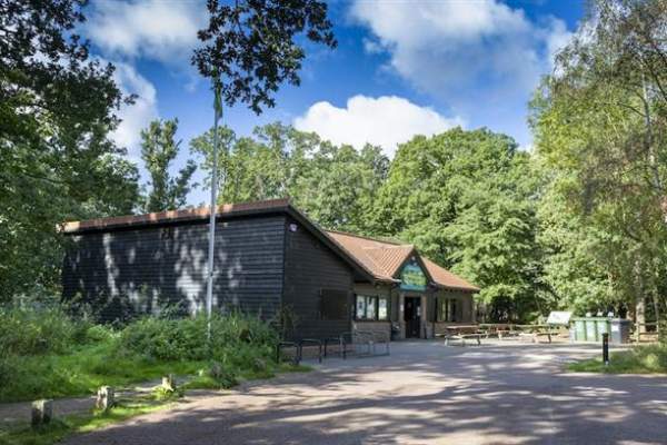 Pond Dipping at High Woods Country Park