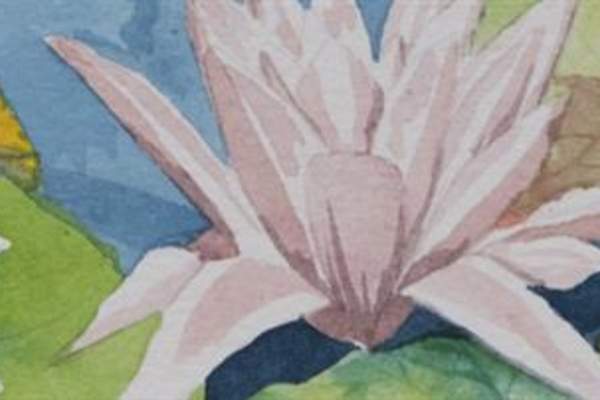 Painting Nature at Abberton KINGFISHERS