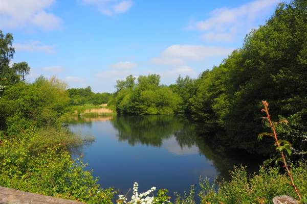 Fingringhoe Wick Nature Discovery Park