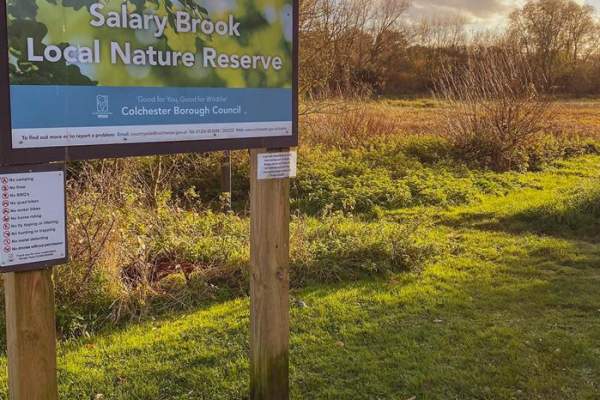 May Half Term Pond Dipping and Woodland Crafts drop-in session – Salary Brook, Greenstead
