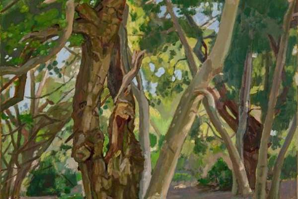 The Arborealists at Staverton Park