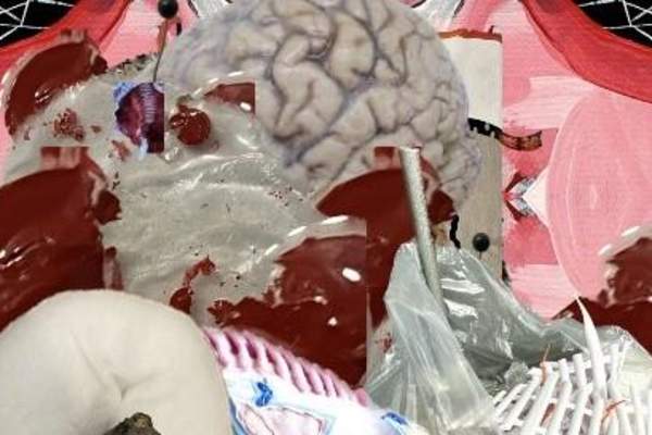 Rebecca Riess: Lossless