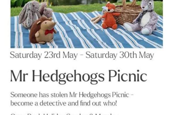 Mr Hedgehogs Picnic