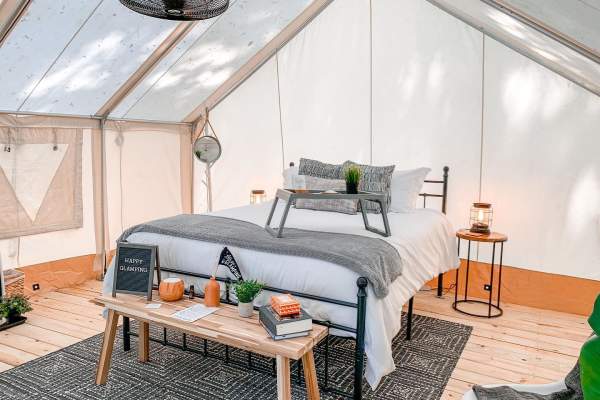 Timberline Glamping Company