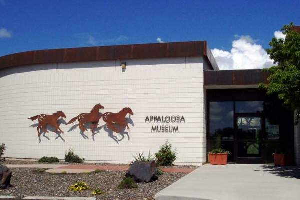 Appaloosa Museum and Heritage Center