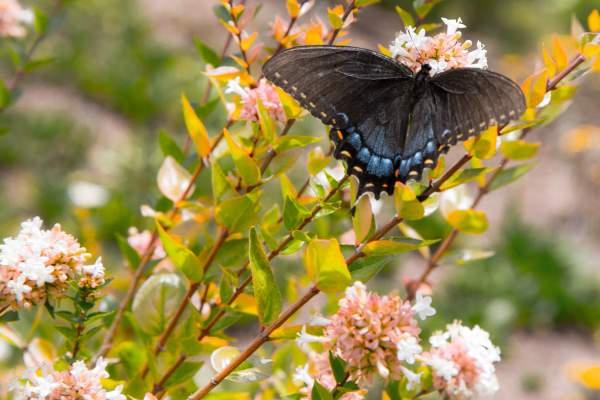What's New and Upcoming in Sandy Springs | Spring 2017