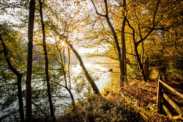 Where To Uncover The Best Fall Foliage In Atlanta's Backyard
