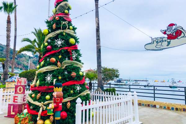 Holiday Happenings on Catalina Island 2022