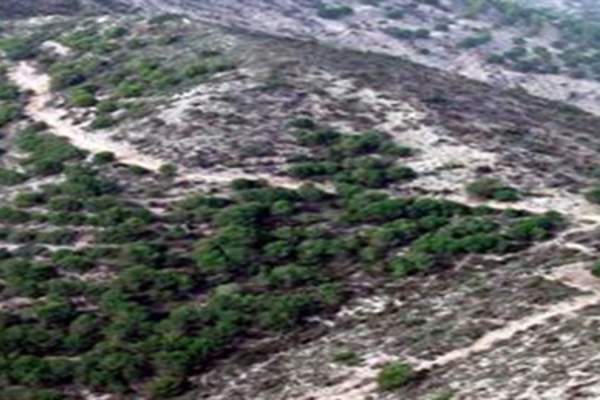 R-1 Sendero Arroyo de los muertos