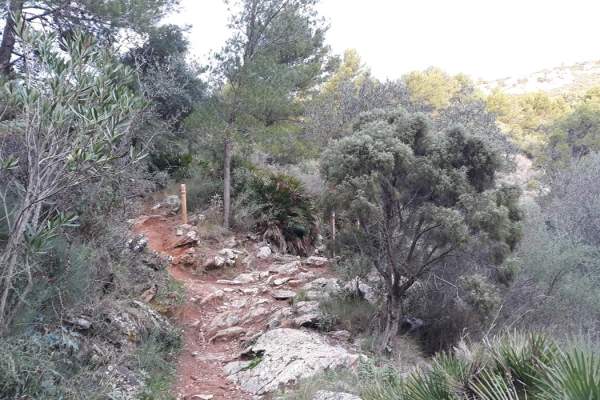 R-2 Sendero de los Leñadores