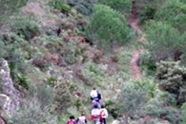 R-3 Sendero del Quejigal