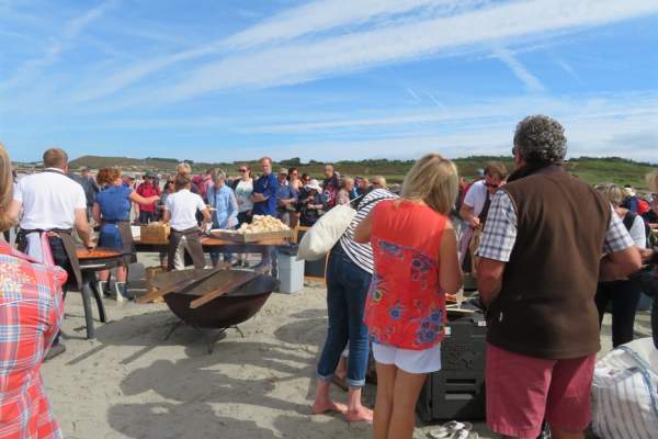 The Low Tide Event (Spring)