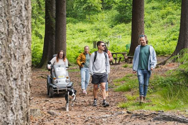 Haldon Forest Park - Forestry England