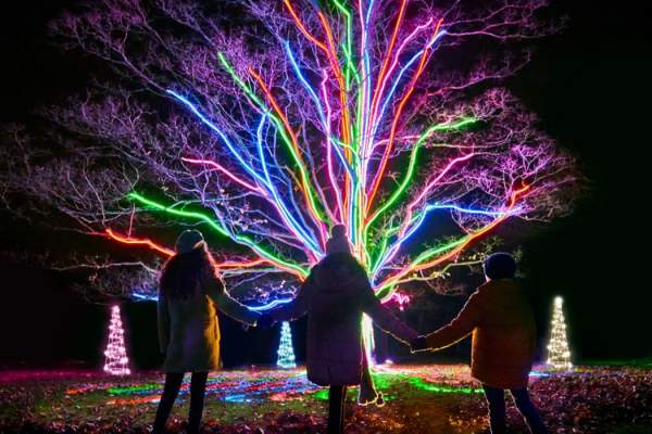 Christmas at Westonbirt Arboretum