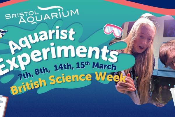 Aquarist Experiments at Bristol Aquarium