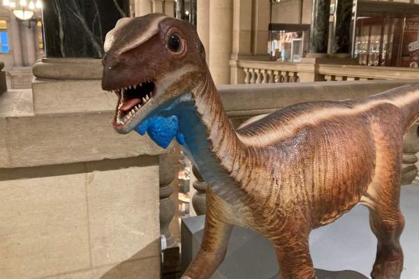 Bristol's Dinosaurs Tour at Bristol Museum & Art Gallery