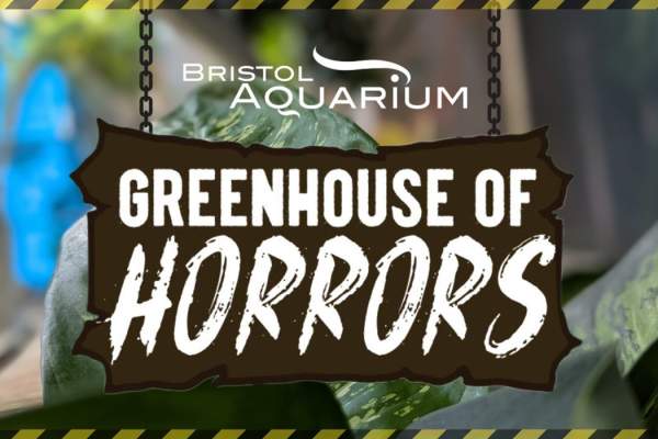 Greenhouse of Horrors at Bristol Aquarium